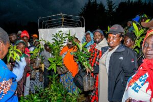 KGFF Scores for Nature at the Tambach Friendly Tournament